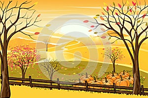 Vector illustrationn of panorama autumn landscape in english countryside with forest trees and leaves falling,Panoraic of farm