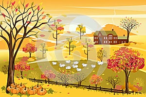 Vector illustrationn of panorama autumn landscape in english countryside with forest trees and leaves falling,Panoraic of farm fie photo