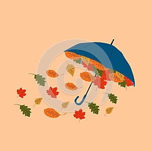 Vector illustrations autumn umbrella with autumn leaves.