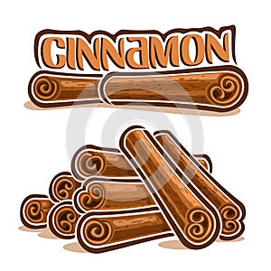 Vector illustrations for Cinnamon spice