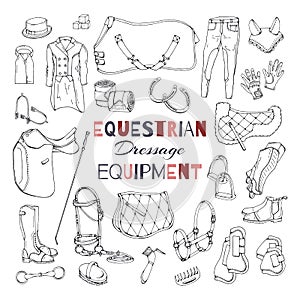 Vector illustrations on the equestrian equipment theme. Dressage