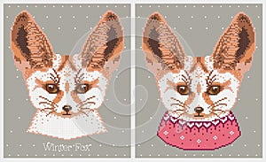 Vector illustrations of fennec in a knitted sweater.