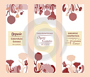 Vector illustrations for floral or herbal products