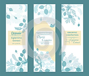 Vector illustrations for floral or herbal products