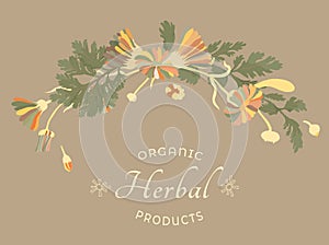 Vector illustrations for floral or herbal products