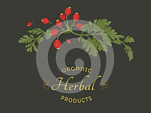 Vector illustrations for floral or herbal products