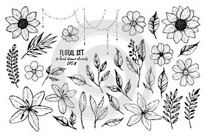 Vector illustrations - Floral set flowers, leaves and branches