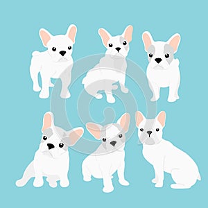 Vector illustrations set of cute little French bulldog in different positions. Funny happy puppy. French bulldog puppy