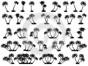 Vector illustrations silhouette of palm trees