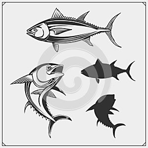 Vector illustrations of Tuna.