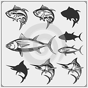 Vector illustrations of Tuna and Marlin. Monochrome design.