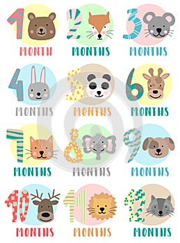 Vector image of 12 months for a baby with animals. A collection of children`s stickers with numbers and bear, fox, mouse, rabbit,