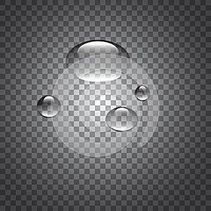 Vector image of the water drops on the  transparent checkered background