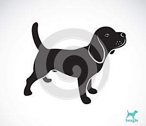 Vector image of beagle dog