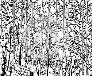 Vector image of a birch grove in the cold season