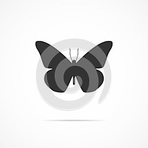 Vector image butterfly icon.