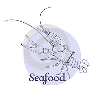 Vector image of crayfish.