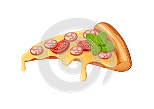 Vector image of creative pizzas meats. Icon Italian pizza. A slice of pizza for the design of advertising for your restaurant busi