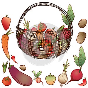 Vector image of crop various ripe vegetables in basket