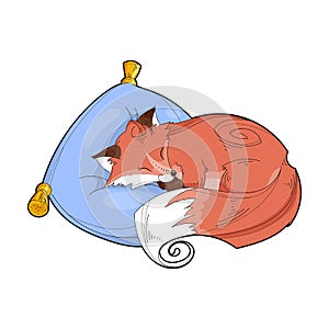 Vector image of a cute fox on a pillow isolated on a white background