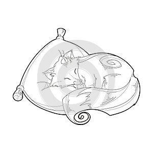 Vector image of a cute fox on a pillow isolated on a white background