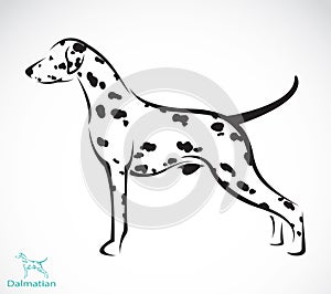 Vector image of an dalmatian dog