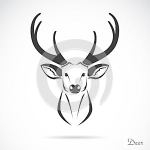 Vector image of an deer head