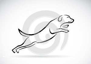 Vector image of an dog jumping on white background.