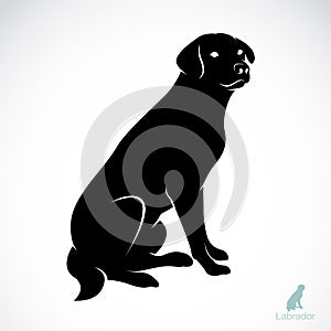 Vector image of an dog labrador