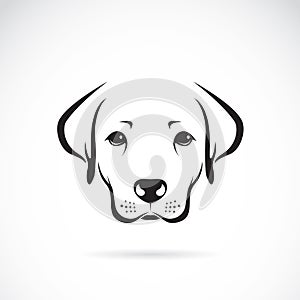 Vector image of an dog labrador