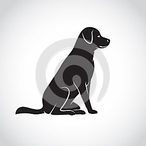 Vector image of an dog labrador