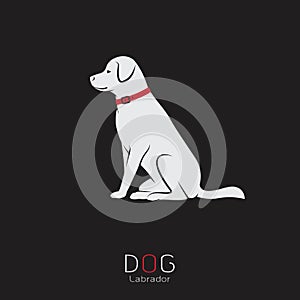 Vector image of an dog labrador