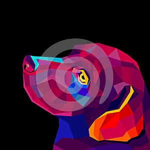 Vector image of an dog labrador on black background