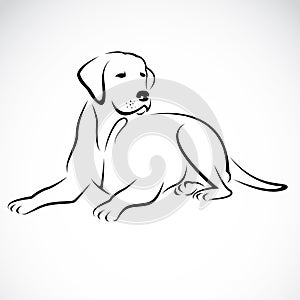 Vector image of an dog labrador