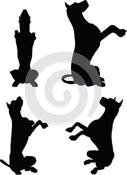 Vector Image - dog silhouette in beg pose on white background