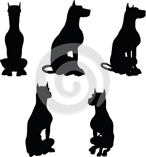 Vector Image - dog silhouette in sitting pose on white background