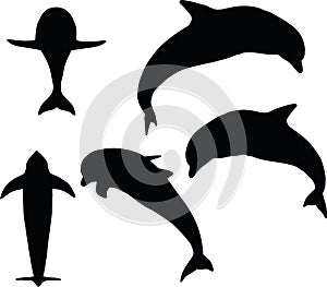 Vector Image - dolphin silhouette on white background