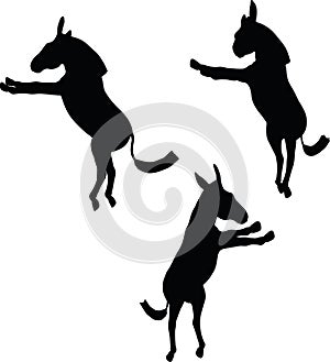 Vector Image, donkey silhouette, in buck pose, isolated on white background