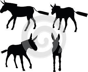 Vector Image, donkey silhouette, in canter pose, isolated on white background