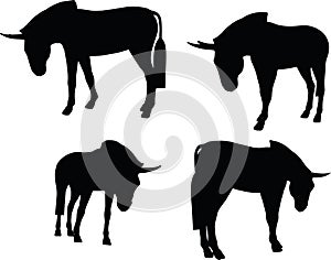 Vector Image, donkey silhouette, in look down pose, isolated on white background