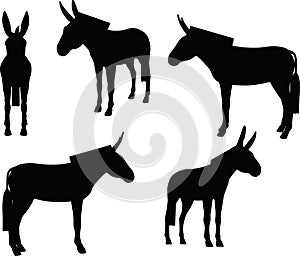 Vector Image, donkey silhouette, in standing pose, isolated on white background