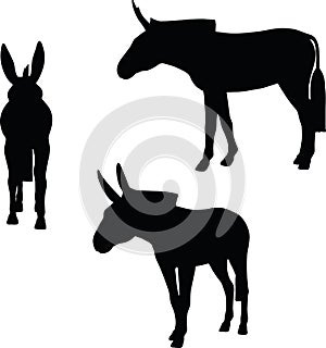 Vector Image, donkey silhouette, in standing pose, isolated on white background