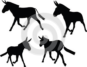 Vector Image, donkey silhouette, in trot pose, isolated on white background