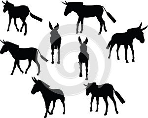 Vector Image, donkey silhouette, in walk pose, isolated on white background