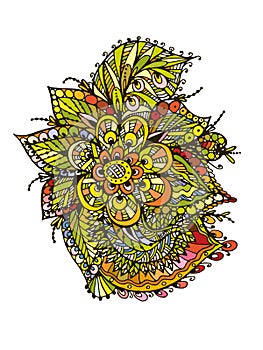 Vector Image Doodle, drawing for coloring the floral motif