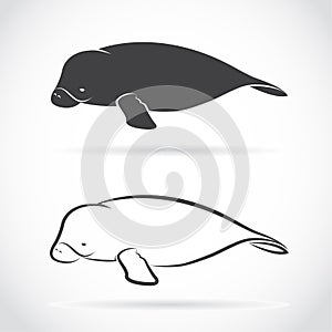 Vector image of an dugong