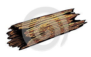 Vector image of a fallen old tree trunk.