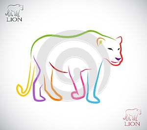 Vector image of an female lion