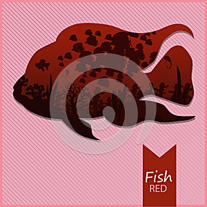 Vector image of an fish on red background