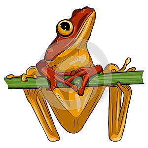 Vector image of an frog design on white background,